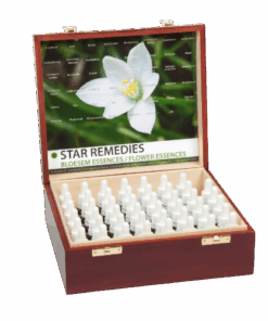 Star Remedies set 10ml. - alle 57 bloesem essences in donkerbruin houten kist