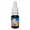 Taj Mahal 10ml. - Seven Essentials