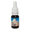Taj Mahal 10ml. - Seven Essentials