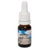 Chichen Itza 10ml. - Seven Essentials