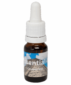 Chichen Itza 10ml. - Seven Essentials