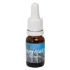 Paas eiland 10ml. - Seven Essentials