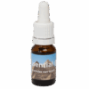 Pyramides van Gizeh 10ml. - Seven Essentials