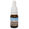 Pyramides van Gizeh 10ml. - Seven Essentials