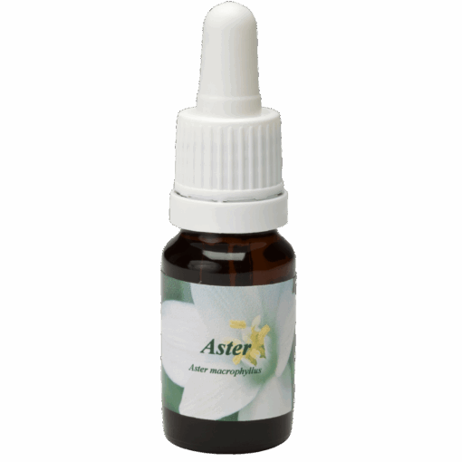 Aster 10ml.