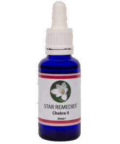 Chakra 2 Essence - 30ml.