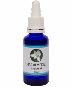 Chakra 6 Essence - 30ml.