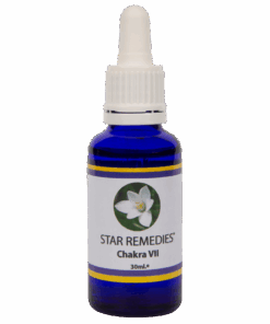 Chakra 7 Essence - 30ml.