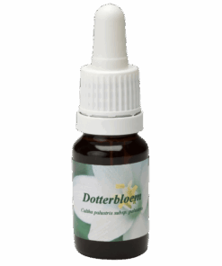 Dotterbloem 10ml.
