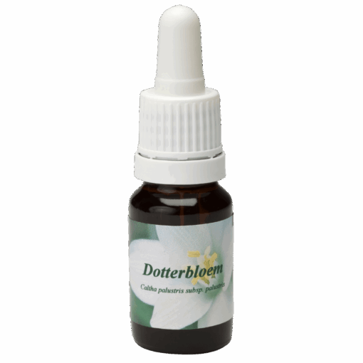 Dotterbloem 10ml.