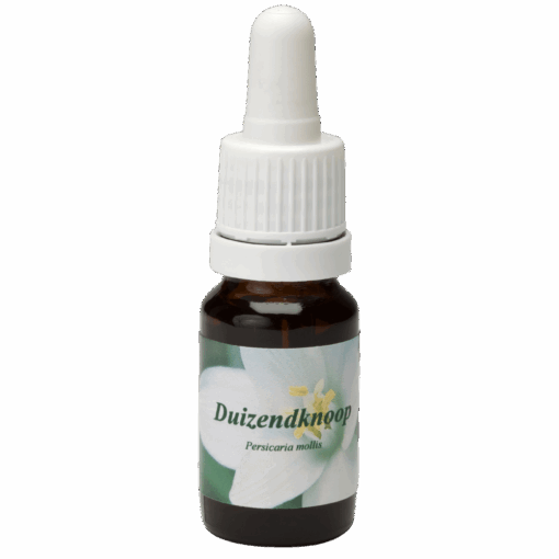 Duizendknoop 10ml.