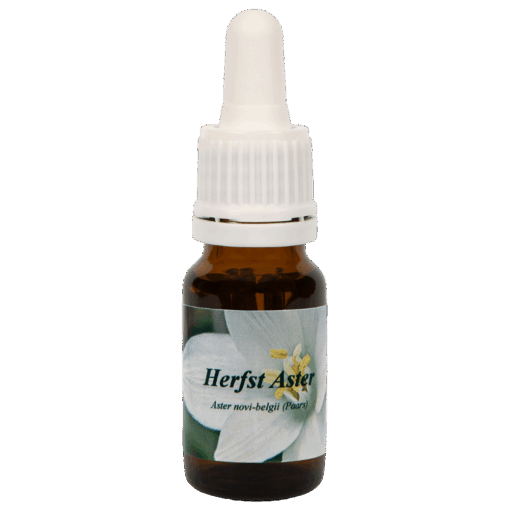 Herfstaster 10ml.