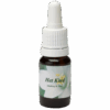 Het Kind 10ml.