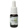 Het Kind 10ml.