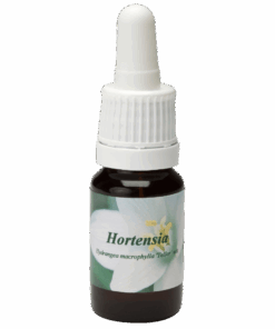 Hortensia 10ml.