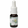 Hosta 10ml.