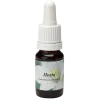 Hosta 10ml.