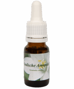 Indische Amandel 10ml.
