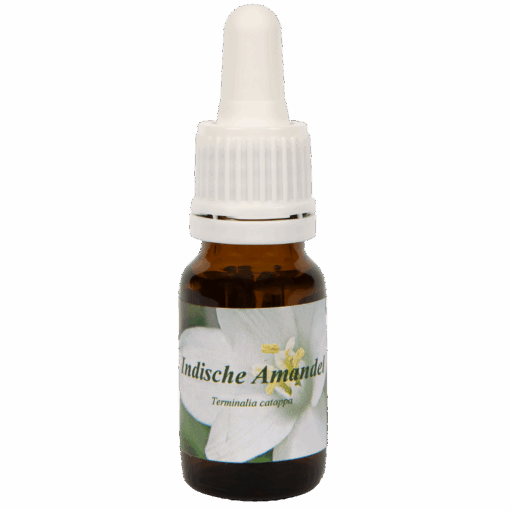 Indische Amandel 10ml.