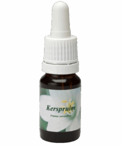 Kerspruim 10ml.