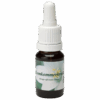 Komkommerkruid 10ml.