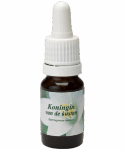 Koningin van de Kusten 10ml.