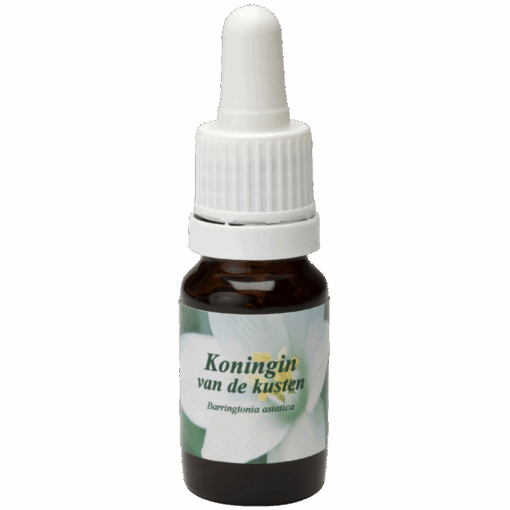 Koningin van de Kusten 10ml.