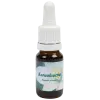 Koraalcactus 10ml.