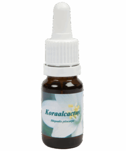 Koraalcactus 10ml.