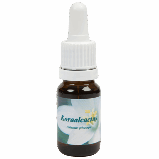 Koraalcactus 10ml.