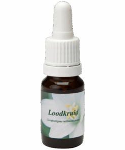 Loodkruid 10ml.