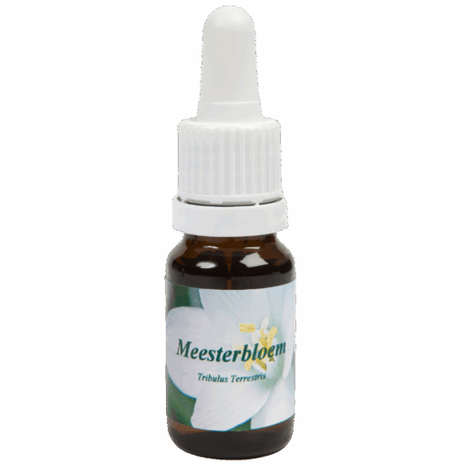 Meesterbloem 10ml.