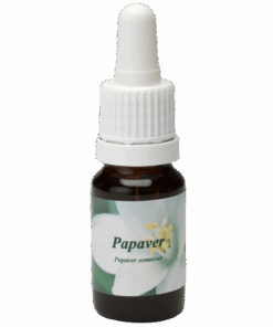 Papaver 10ml.