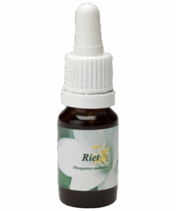 Riet 10ml.