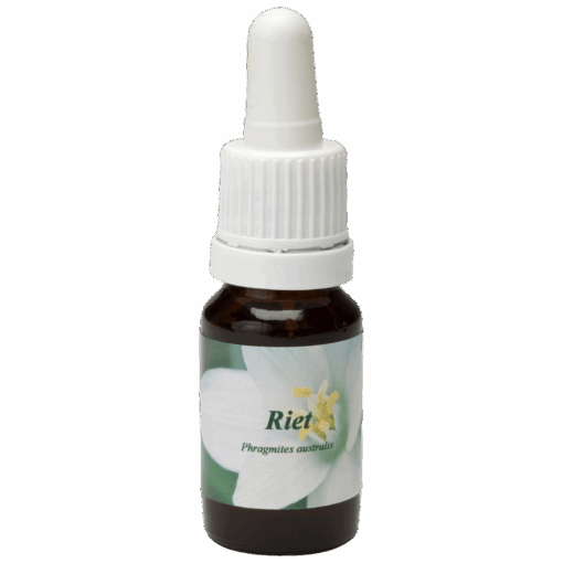 Riet 10ml.