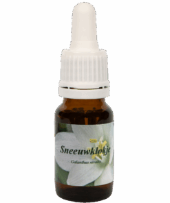 Sneeuwklokje 10ml.