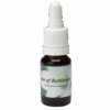 Star of Bethlehem 10ml.