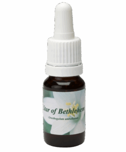 Star of Bethlehem 10ml.