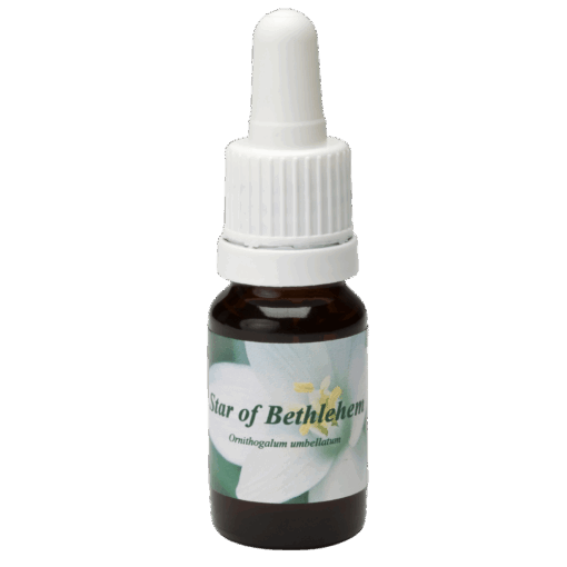 Star of Bethlehem 10ml.