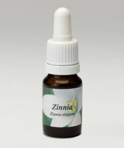 Zinnia 10ml.